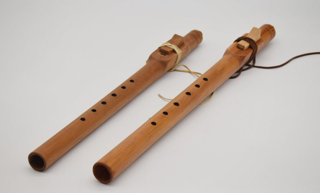 Buy Native American Flute - Starter Flute | Sunflower Flutes